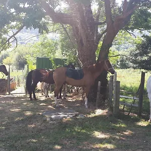 Rural Zuri Cotorrio